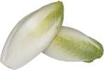 cykoria