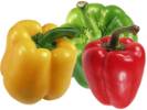 papryka s�odka czerwona, papryka s�odka zielona, papryka s�odka ��ta